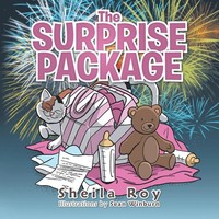 Sheila Roy | The Surprise Package | Taschenbuch | Englisch (2014)