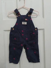 OshKosh B’Gosh Blue Overalls with Pink Embroidered Birds size 6 Months C3