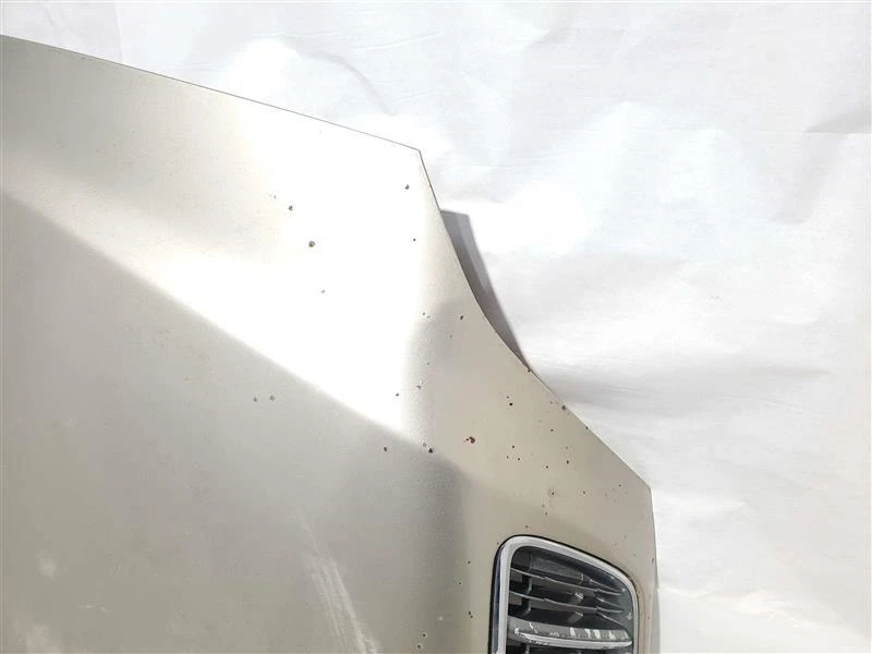 Hood Gold With Grille Sun Faded OEM 1999 2000 2001 2002 2003 Lexus RX300 - Imagem 2 de 4