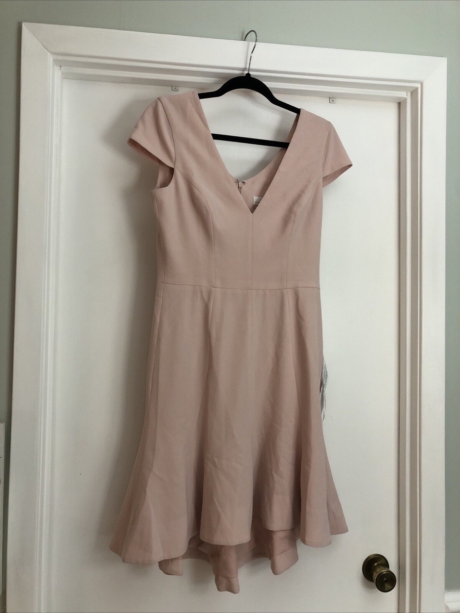 dress the population bettie Dress The Population Bettie Dress in Powder Blush