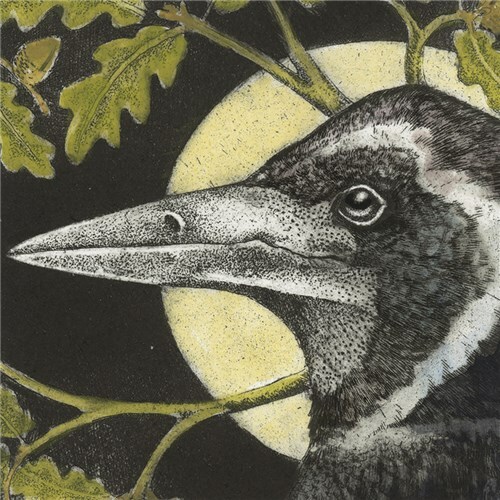 Rook  - Fine Art Blank Greeting / Birthday Card - Birds Corvid Etching Scott