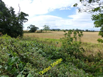 Foto 6x4 Brombeeren und Getreide Eshott East Forest Bauernhof in der Ferne. c2014