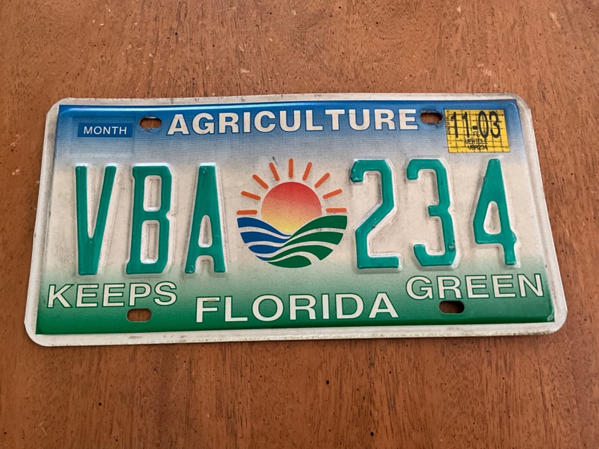 YUI 5th Tour 武道館Live STAINED GRASS PLATE 2003 Florida Agriculture License Plate Tag specialty VBA 234 Keep