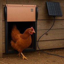Automatic Chicken Coop Door Solar Powered Auto Chicken