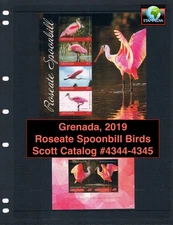 $22.50 Scott Value - 2019 GRENADA Flamingos s/s Spoonbill Birds CV MNH NH UMM