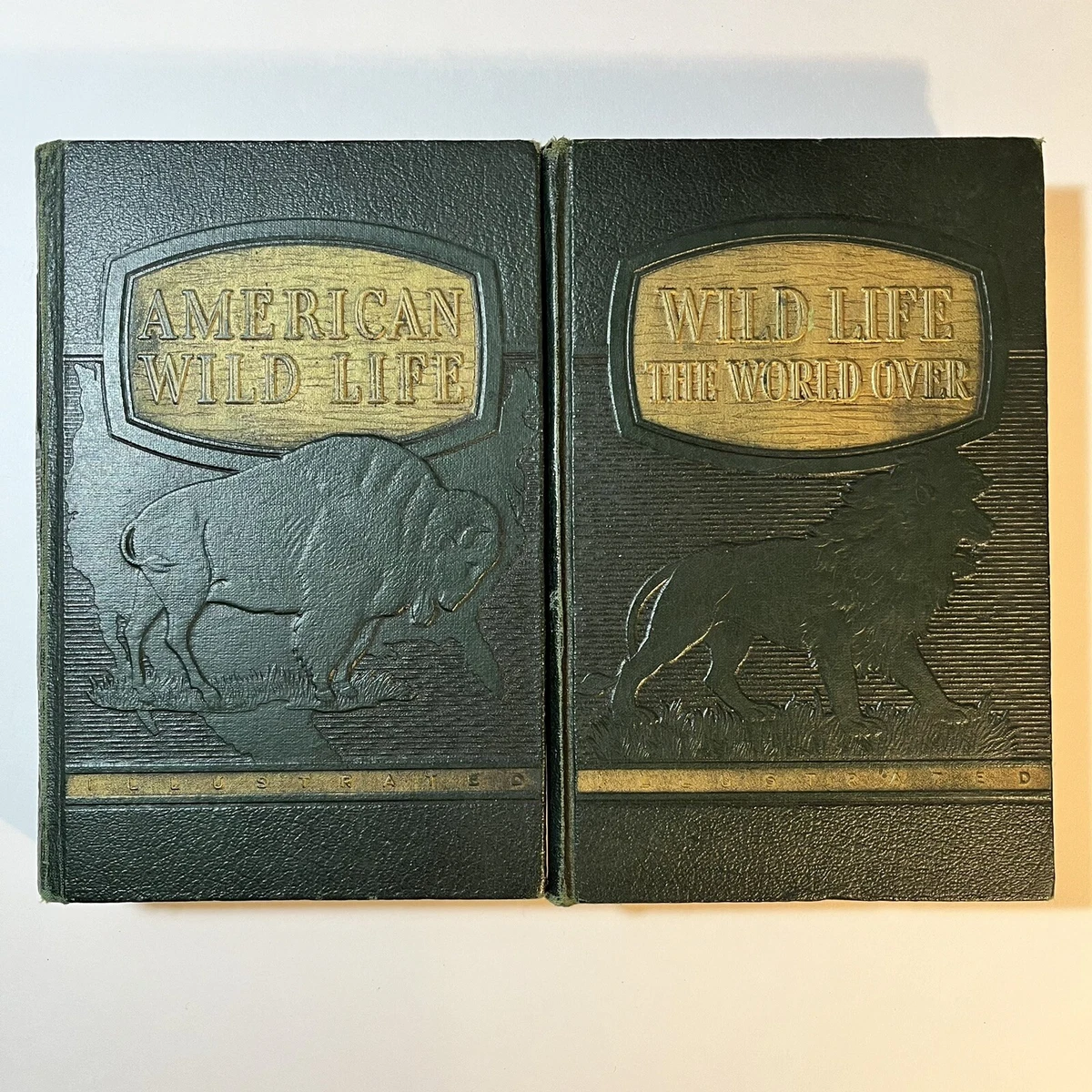 Nonfiction Books & Fiction Wildlife 1900-1949 Publication Year for