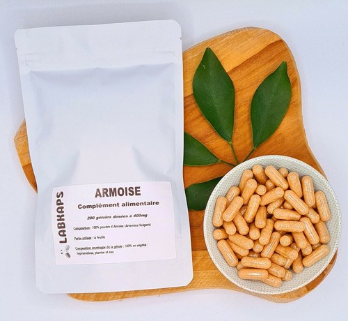 Armoise Vulgaire 200 Gélules Dosées à 400mg - Enveloppe 100% Végétale, Labkaps