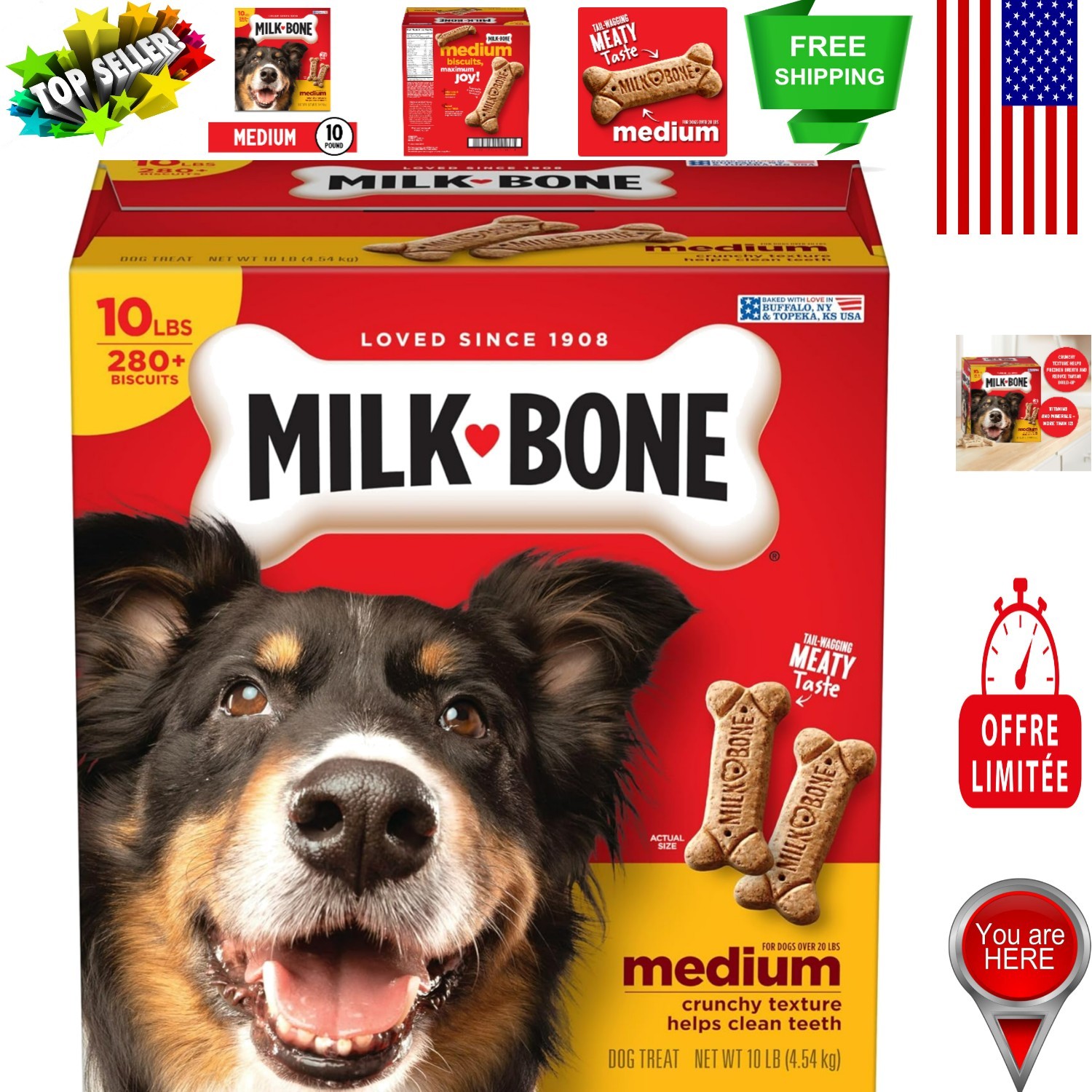10 lb Box of Gourmet Dog Biscuits for Medium Dogs - Dental C