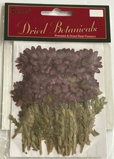 Darice DRIED PURPLE FLOWERS Botanical Stickers Pressed And Dried REAL FLOWERS