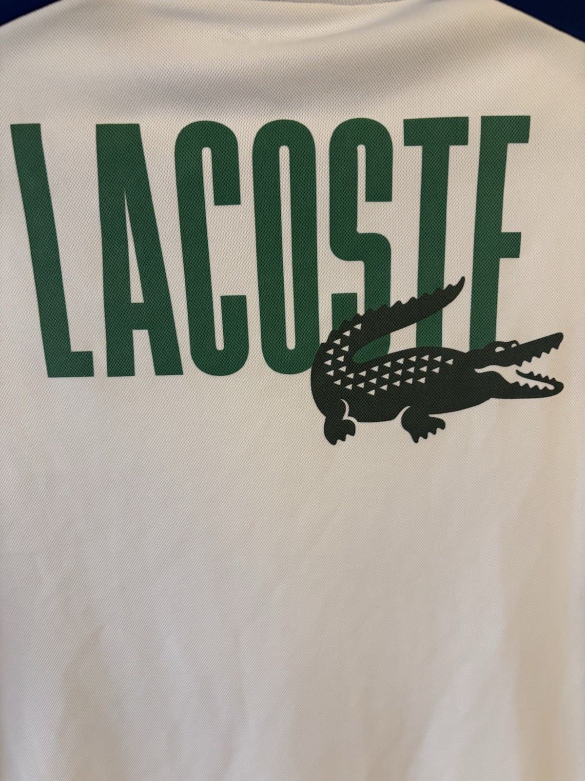 Boys Age 14 Lacoste Top image 2