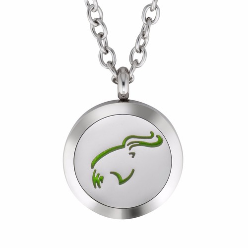 Essential Oil Diffuser Necklace Pendant Stainless Steel Zodiac Capricorn - Picture 2 of 2