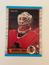 1989-90 O-Pee-Chee Set Break OPC #31 Darren Pang - Chicago Blackhawks NRMT