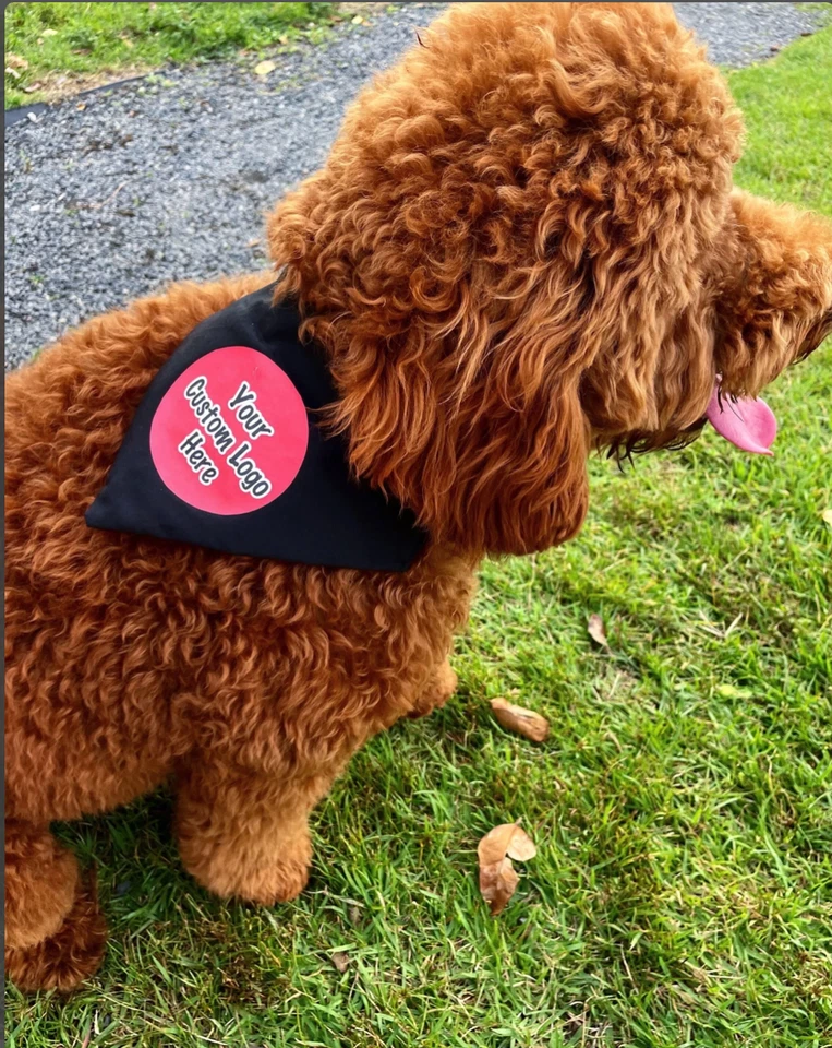 BANDANA PARA PERRO SOBRE EL CUELLO LOGOTIPO PERSONALIZADO O TEXTO BUFANDA PARA MASCOTAS ROPA Foto 3 de 4