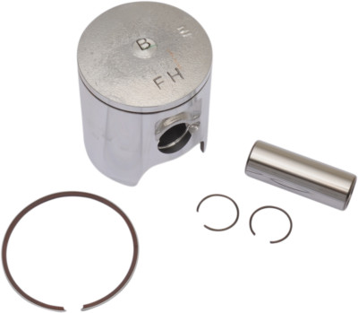 Prox Piston Kit 011111C