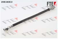 FTE Bremsschlauch Hinten FüR CitroüN Peugeot