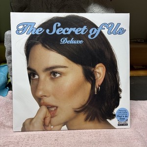 The Secret of Us Vinyl | eBay
