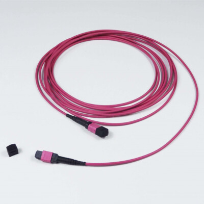 30M MPO to MPO Fiber Optic Patch Cable Cord OM4 8/12 core Type B Famele/Famele