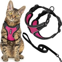 Voyager Katzengeschirr Und Leine, Set Mit Reflektierenden NäHten, Neoprengriff,