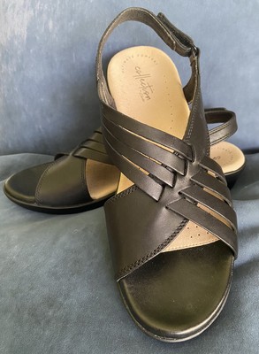 clarks loomis cassey