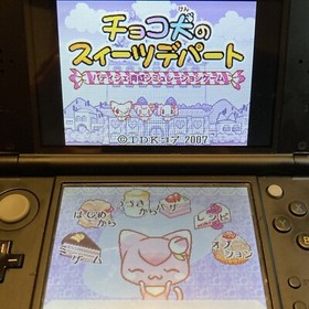 Nintendo DS Chocolate Dog Sweets Department Store Japanese Simulation Games NDS