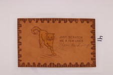 1907 Leather Cat Postcard Pittsburg KS Divided Back Used