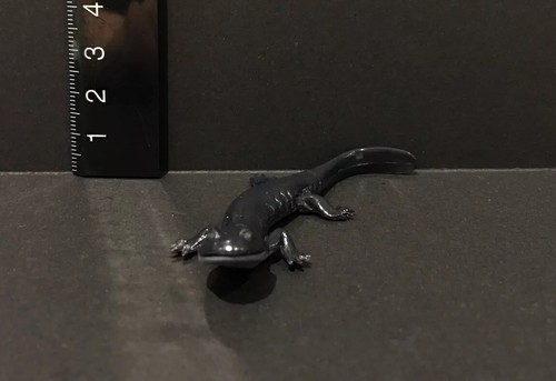 Kaiyodo Animatales Choco Q Series 4 Odaigahara Japanese Salamander Figure