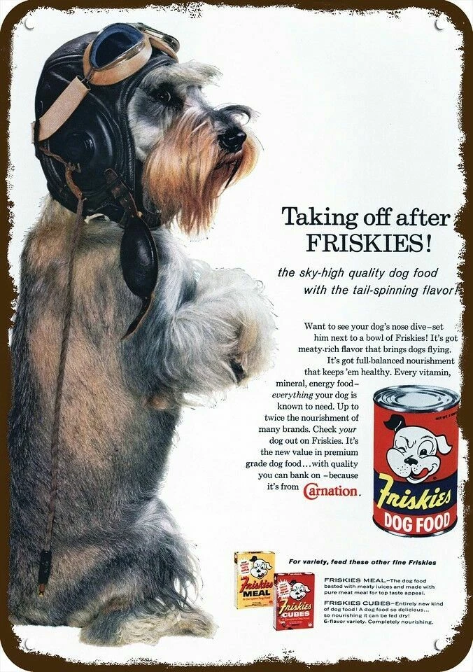 Why Does My Dog Like The Taste Of Metal