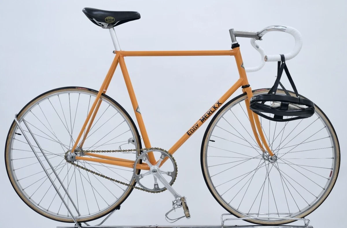 Eddy merckx cheap ebay
