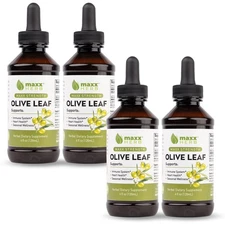 Maxx Herb Olive Leaf Extract – Max Strength Oleuropein Liquid Absorbs Better ...