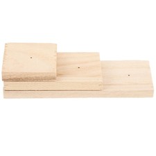  Espositore per esemplari mercato osservazione insetti strumenti per fare strumenti.