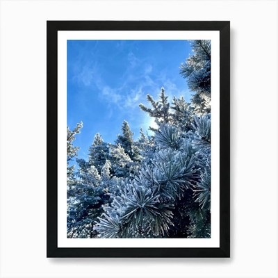 Mattierte Kiefern glitzern unter gerahmtem Wandbild Poster Leinwanddruck Bild