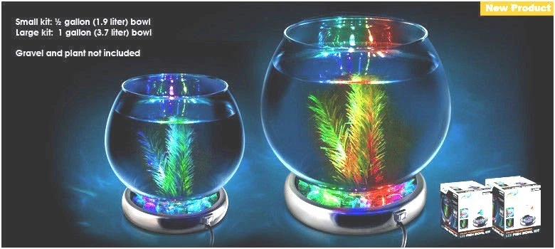 Changing LED Light Base Kit for Glass BETA Bowl 1 gallon / gallon | eBay