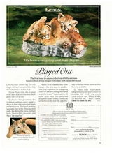 1989 Lenox Played Out Cubs Bisque Porcelain Vintage Print Advertisement