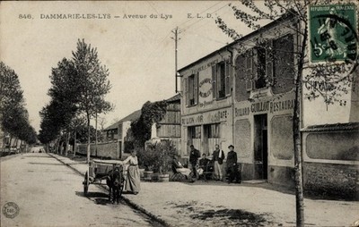 CPA Dammarie les Lys Seine et Marne, Avenue du Lys - 4651347
