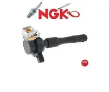 48009 Ignition Coil (NGK NTK)