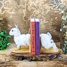 Bookend Bunny Rabbit Shelf Taxidermy Oddities Curiosities Cute Decor