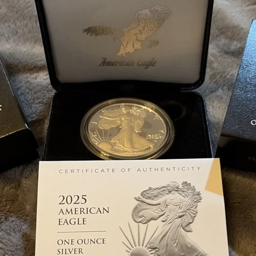 U.S. Mint American Eagle 2025-W  1 oz Silver $1 Coin 0.999 Fine w/Case