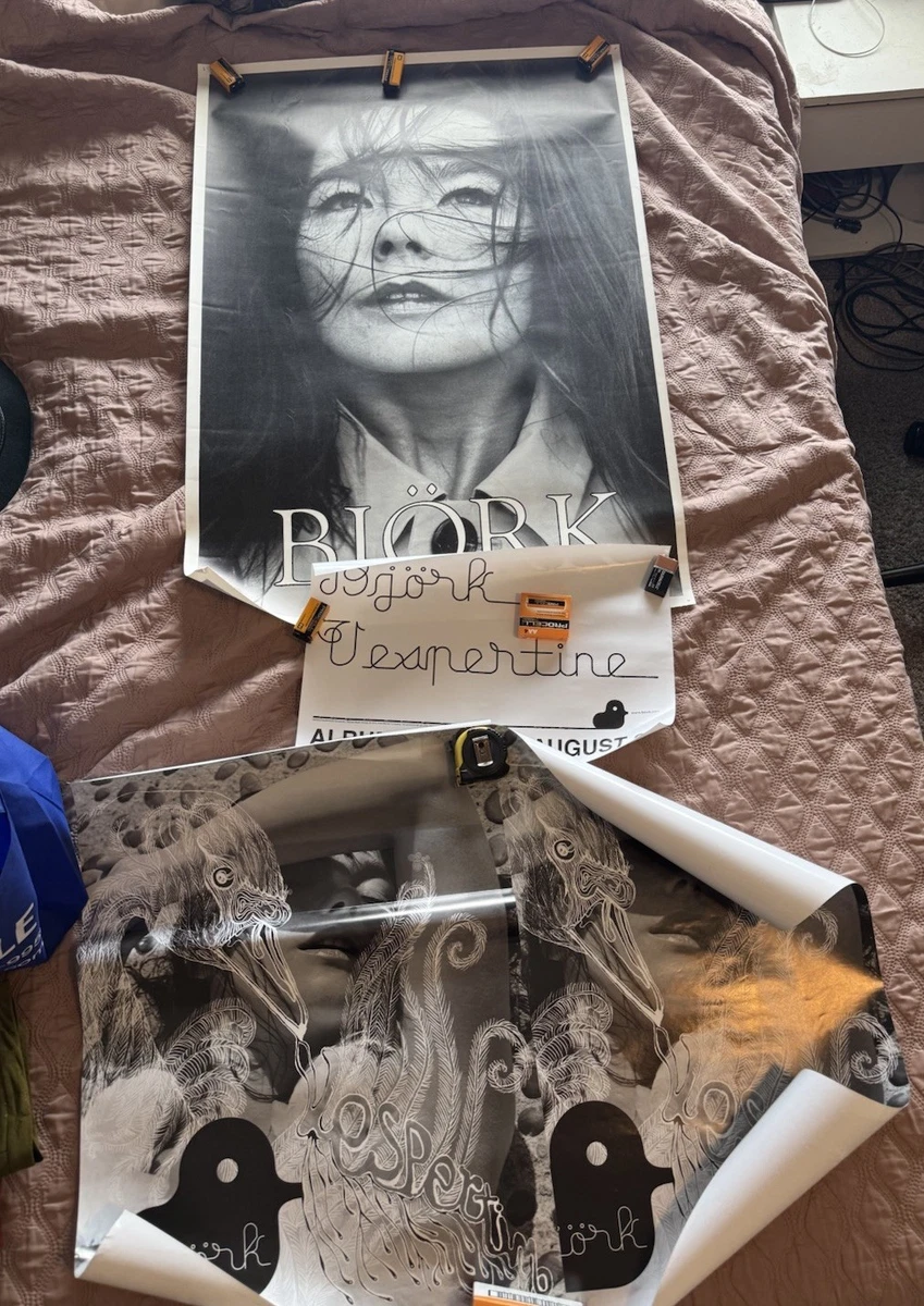 比约克纪念品| eBay