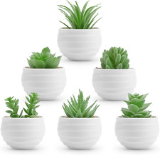 6 Pack Fake Plants Small Realistic Succulents Plants Artificial for Home Room...