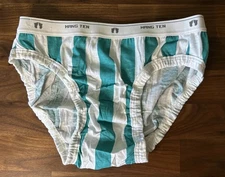 Vtg Low Rise Hang Ten Sz M Stripe Bikini Action Briefs Underwear 100% Cotton USA