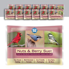 Suet Cakes for Wild Birds - No Mess Feeder for Woodpeckers, Cardinals More