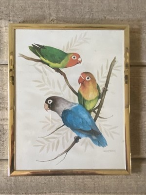 Frank Massa Vintage Print Parrots Birds 8 x 10