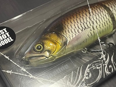 GAN CRAFT Jointed Claw 168 Floating Limited Orika Color Lure