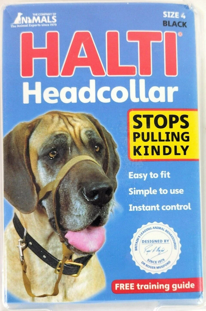 Halti size best sale 4