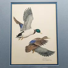 Vtg Jack Tavenner Bird Art Print Framed Double Matted Signed Mallard Ducks 1981