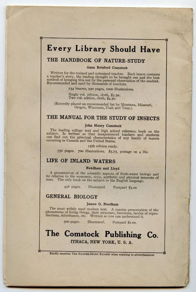 Dec 1919 Nature Study Review Magazine Elementary Science Schools Flying Squirrel Foto 2 de 2