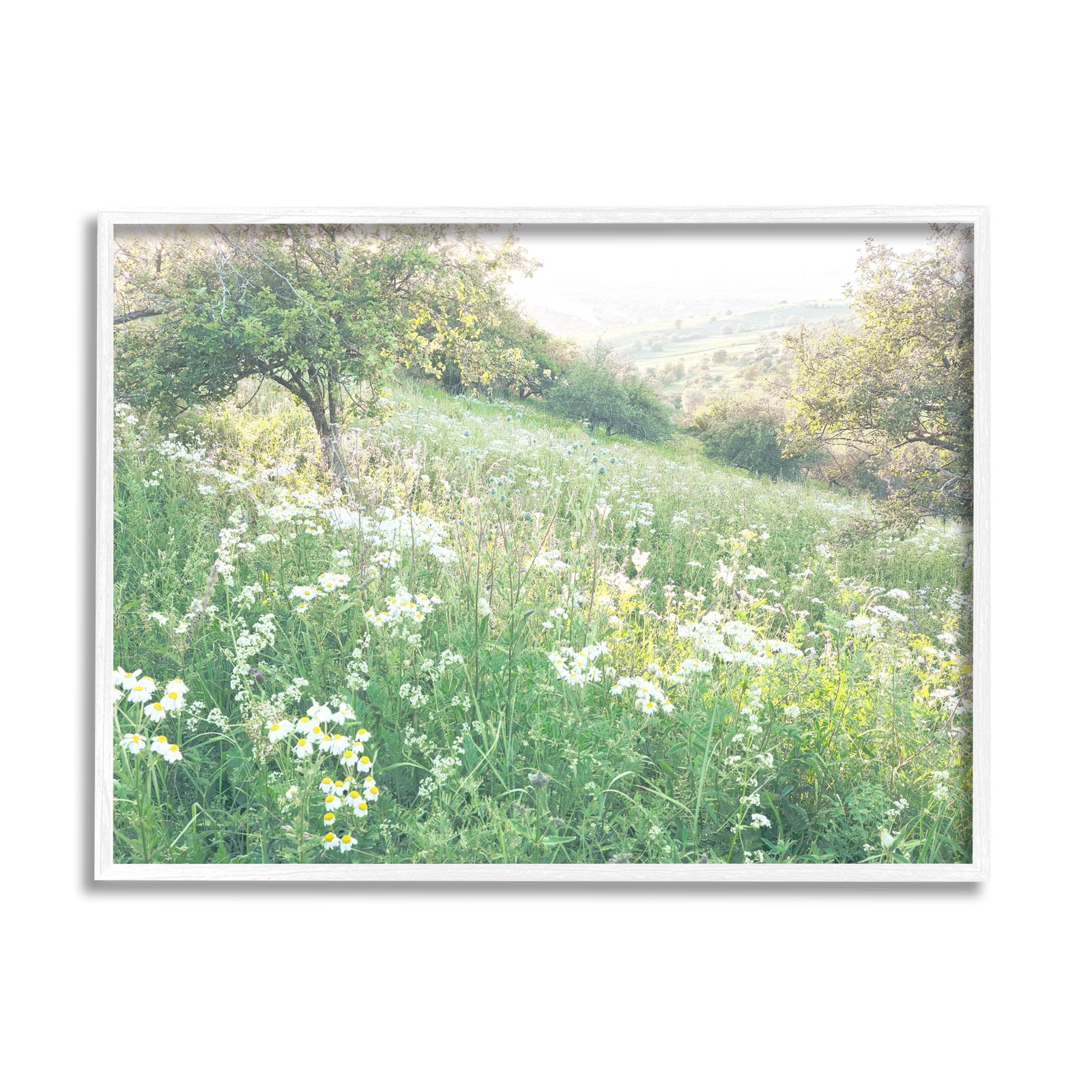 Spring Meadow Grassland Field Giclee Framed Wall Art, Design by Leah Straatsma