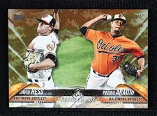 2018 Update Rookie Combos Memorial Day Camo 16/25 David Hess Pedro Araujo 5x8