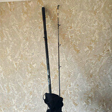 CENTURY Black 13ft Saltwater Casting Fishing Rod Pole, 2 Piece