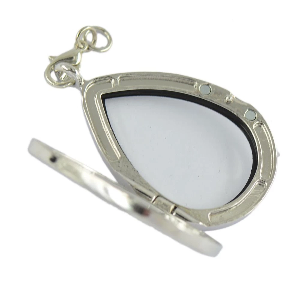 2 Ciondoli In Argento Con Ciondolo In Lega Galleggiante In Vetro Magnetico Con - Immagine 3 di 4